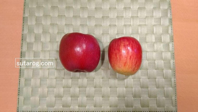 りんご「あいかの香り」サン富士との大きさ比較写真