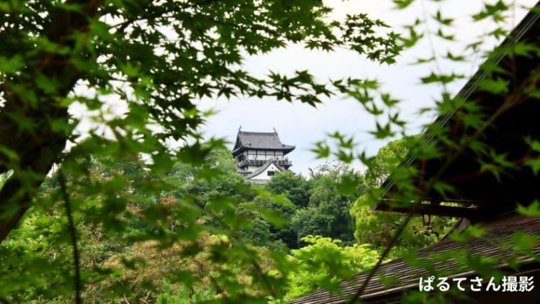 有楽苑から見た犬山城