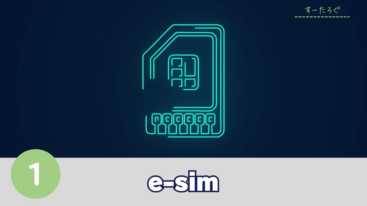 持って行ってよかったもの
①e-sim